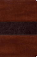 Reina Valera 1960 Biblia Del Pescador, Letra Grande, Caoba Símil Piel | RVR 1960 Fisher of Men Bible Hand Size, Mahogany Leathertouch (Spanish Edition)