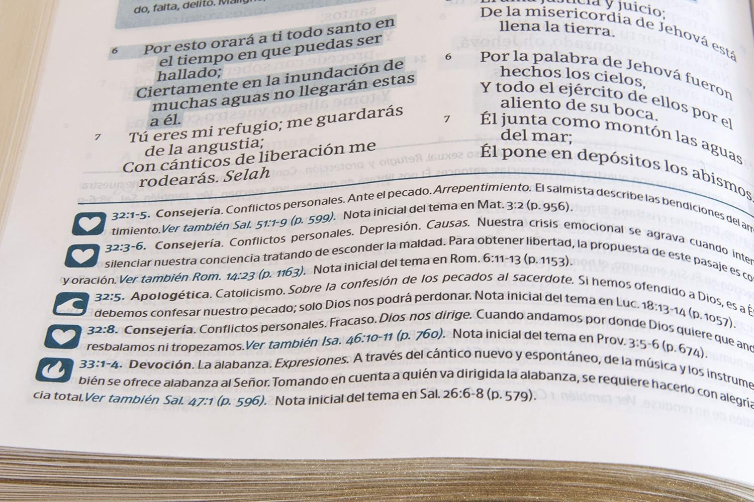 Reina Valera 1960 Biblia Del Pescador, Letra Grande, Caoba Símil Piel | RVR 1960 Fisher of Men Bible Hand Size, Mahogany Leathertouch (Spanish Edition)