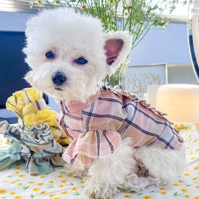 Summer Lightweight Pet Shirt for Cats with Wood Ear Design
